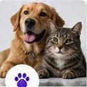 Pets